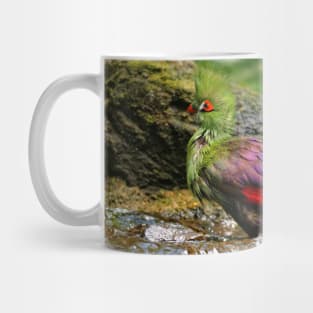 Profile of a Guinea Turaco at the Waterfall Mug